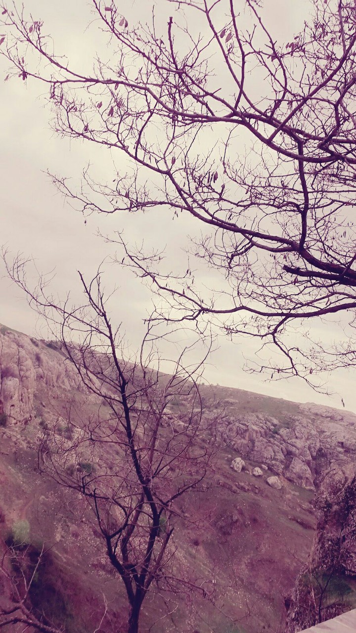 Elazığ