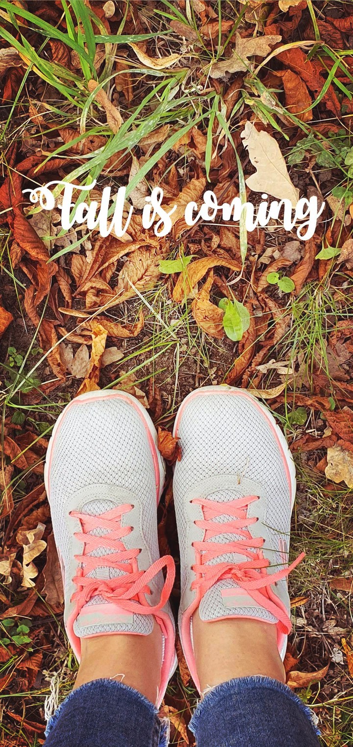 Fall