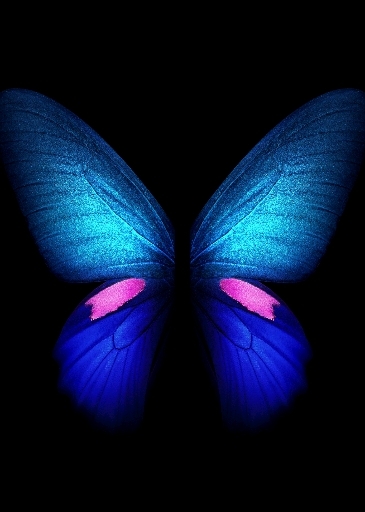 galaxy fold