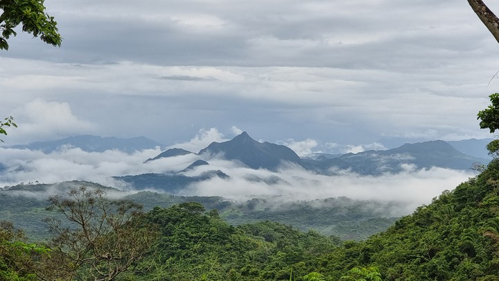 cerro orari