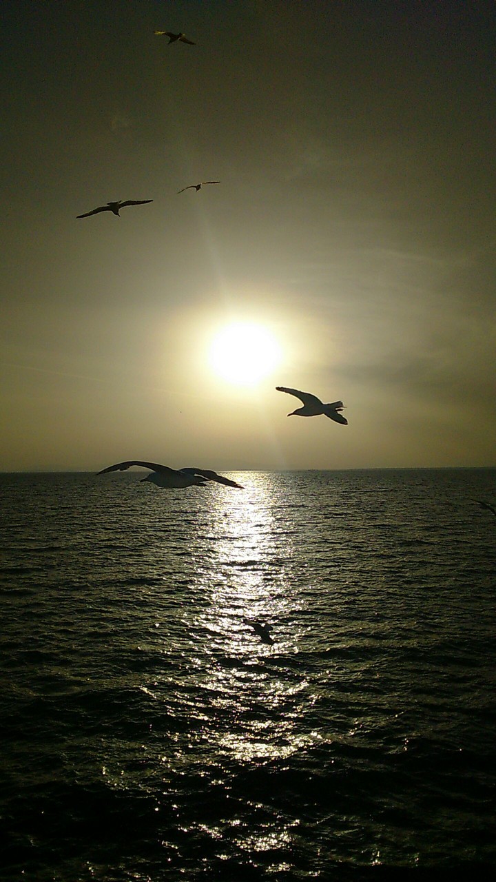 İzmir