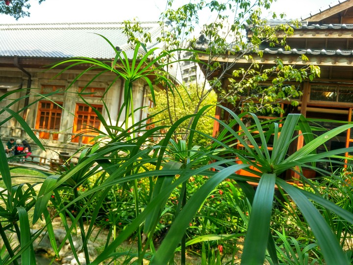 Budokan Martial Arts Hall