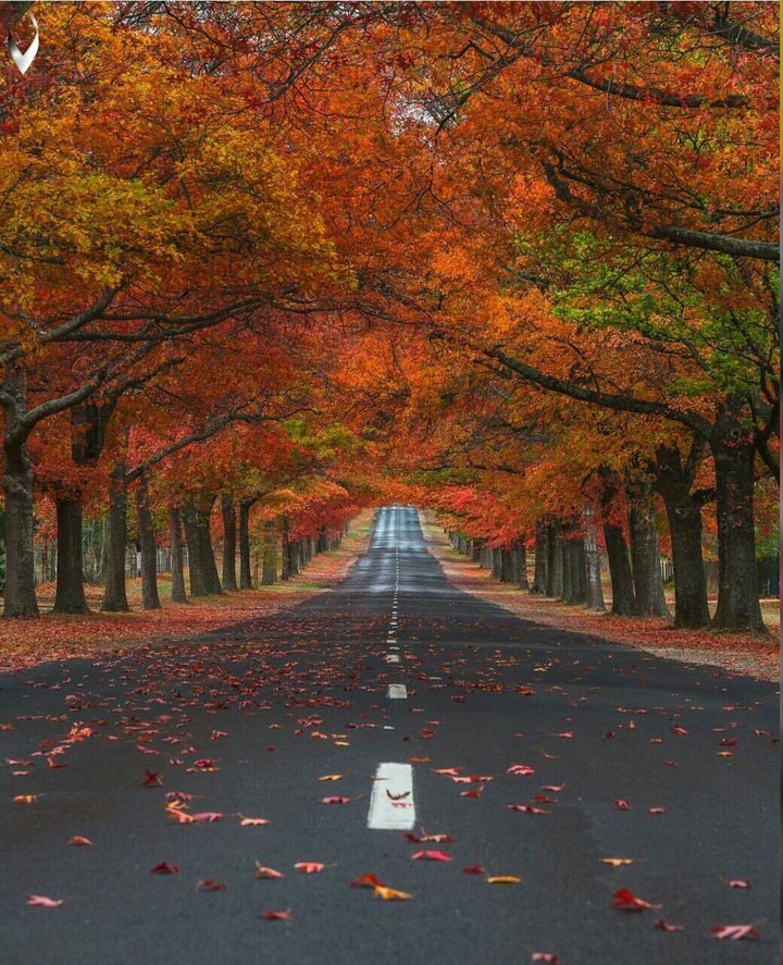 woww