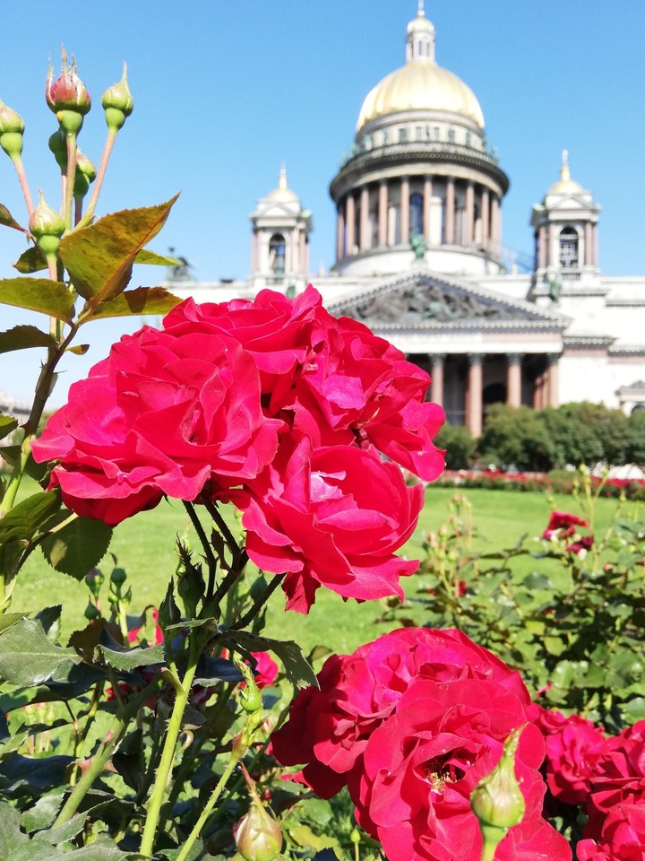 Sankt-Peterburg
