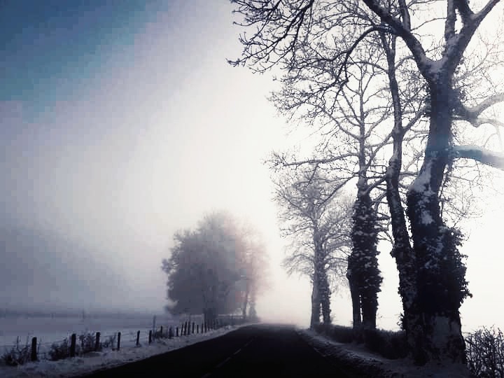 Neblina y Nieve