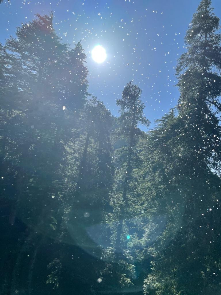 snowy sun