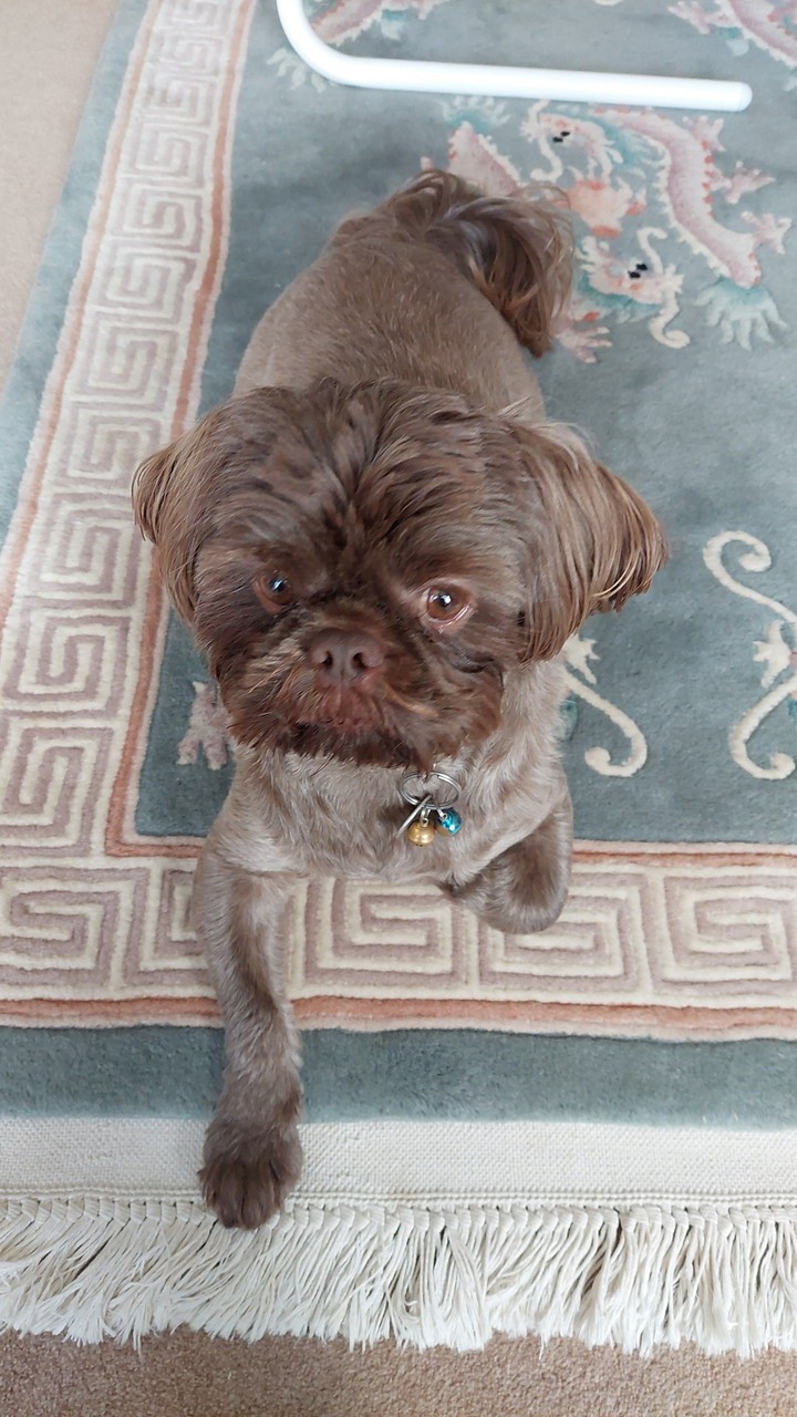 do I get a treat??