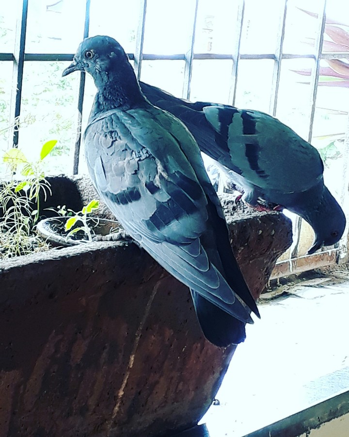 #morning