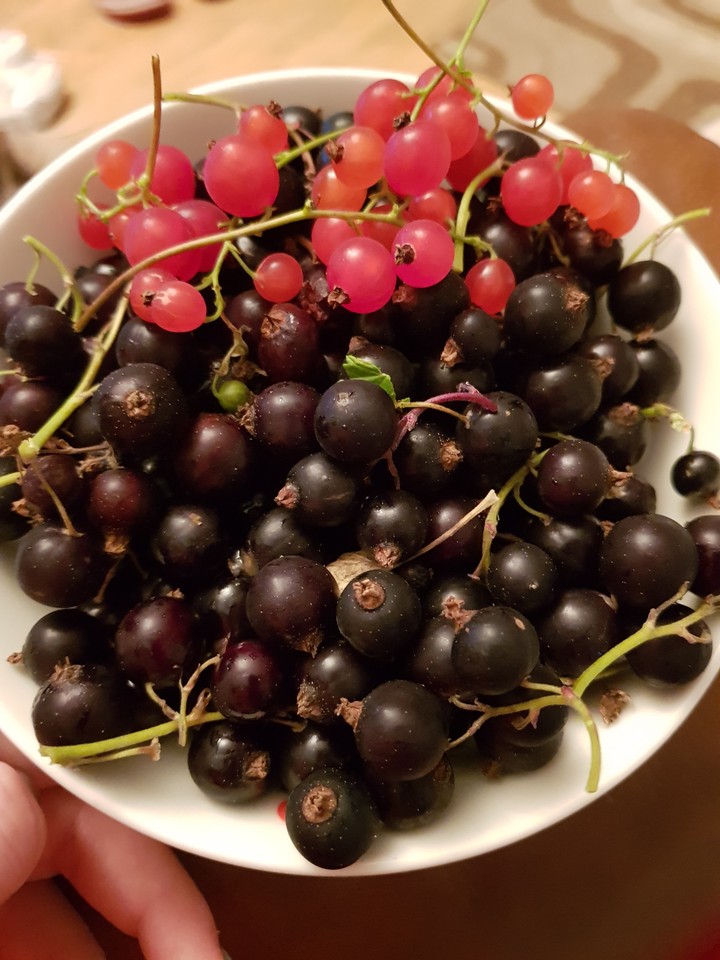 berry