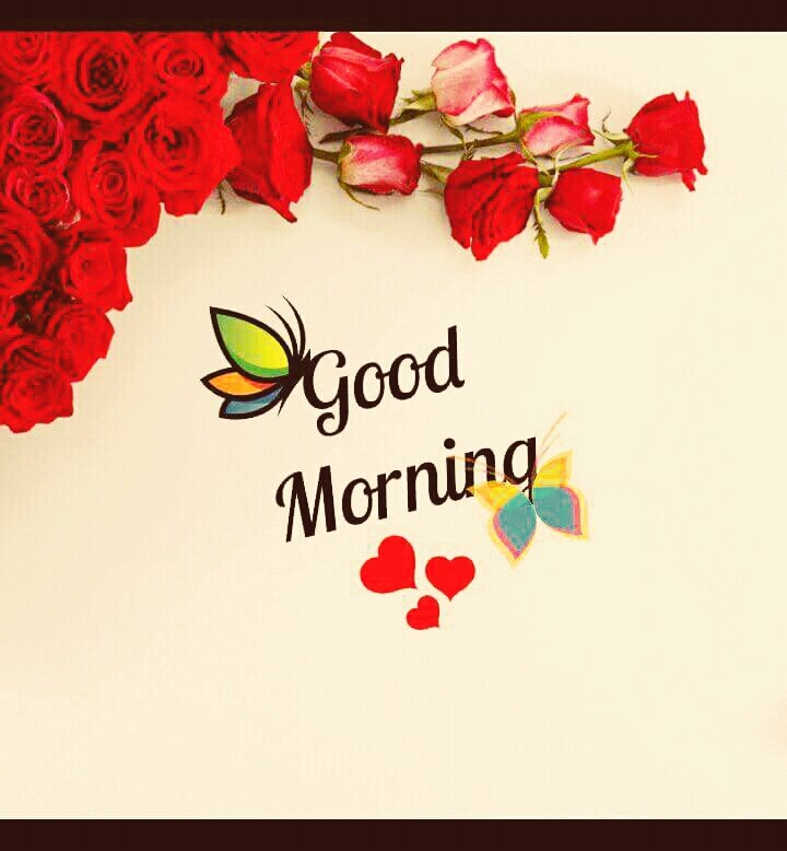 good morning