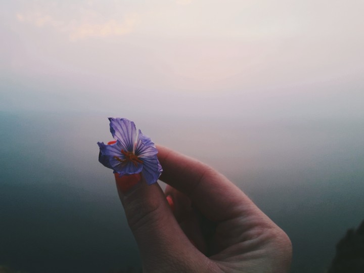 magic flower