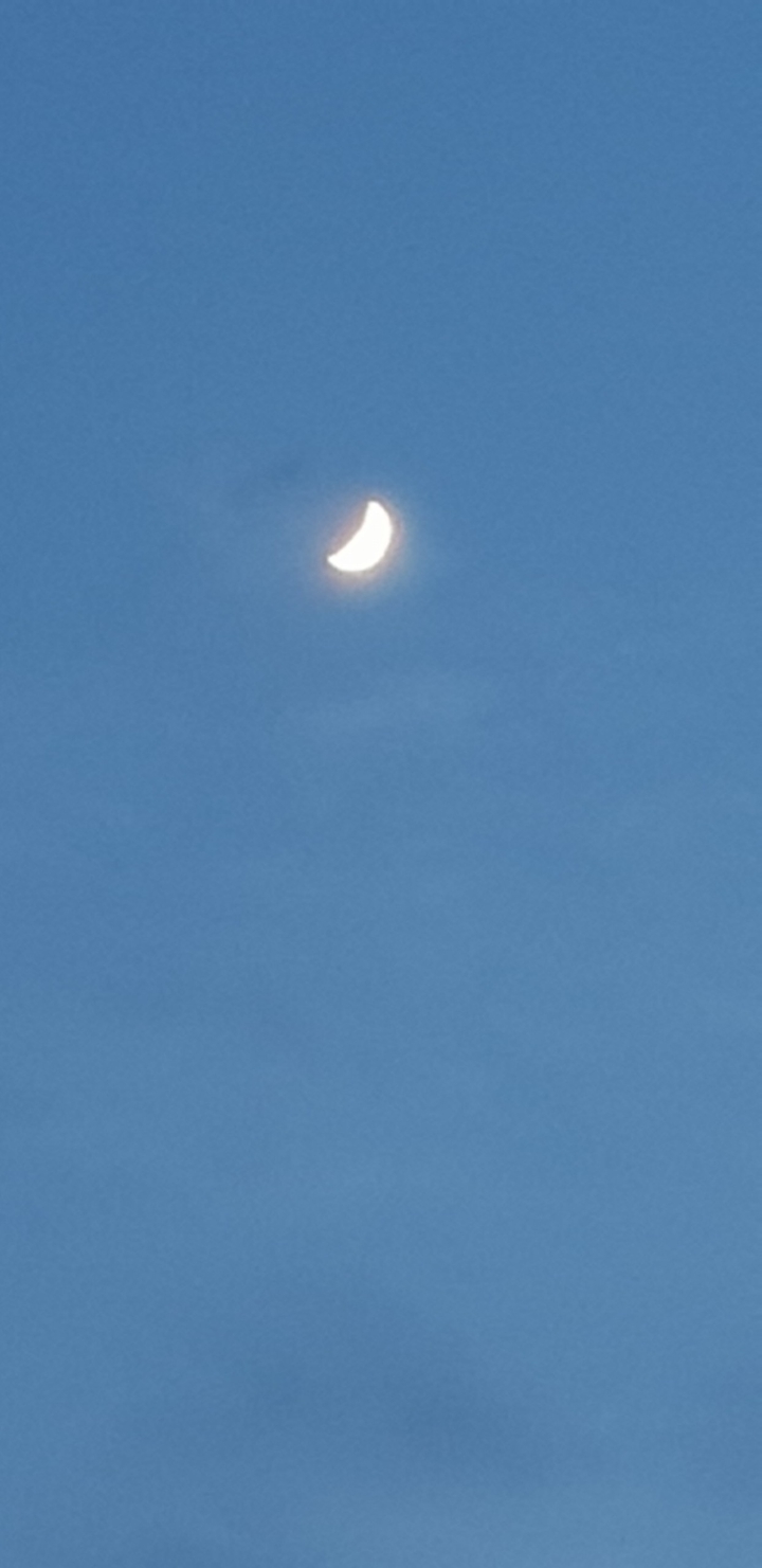 초승달