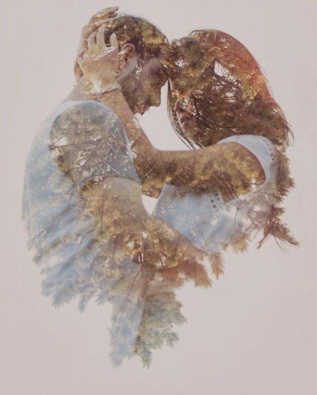 love