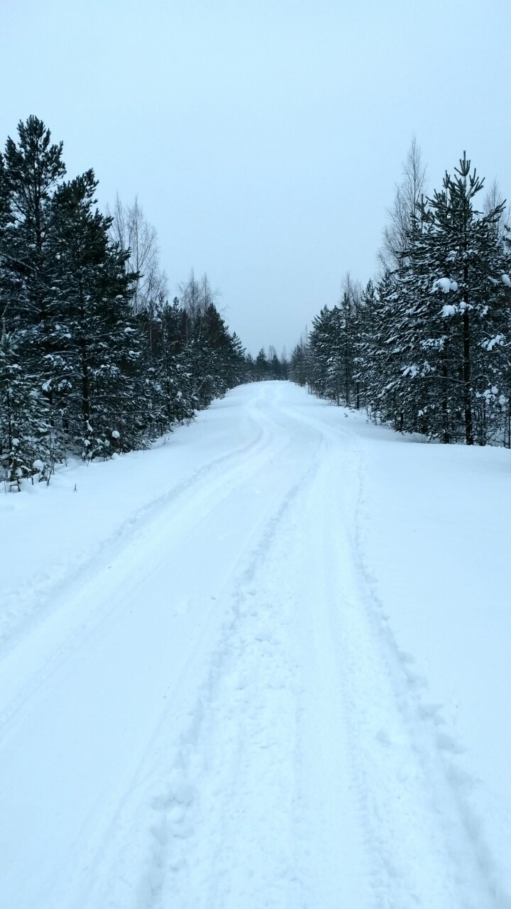 winter