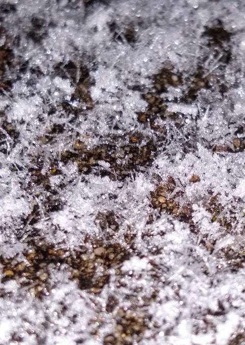 Snowflakes on Concrete