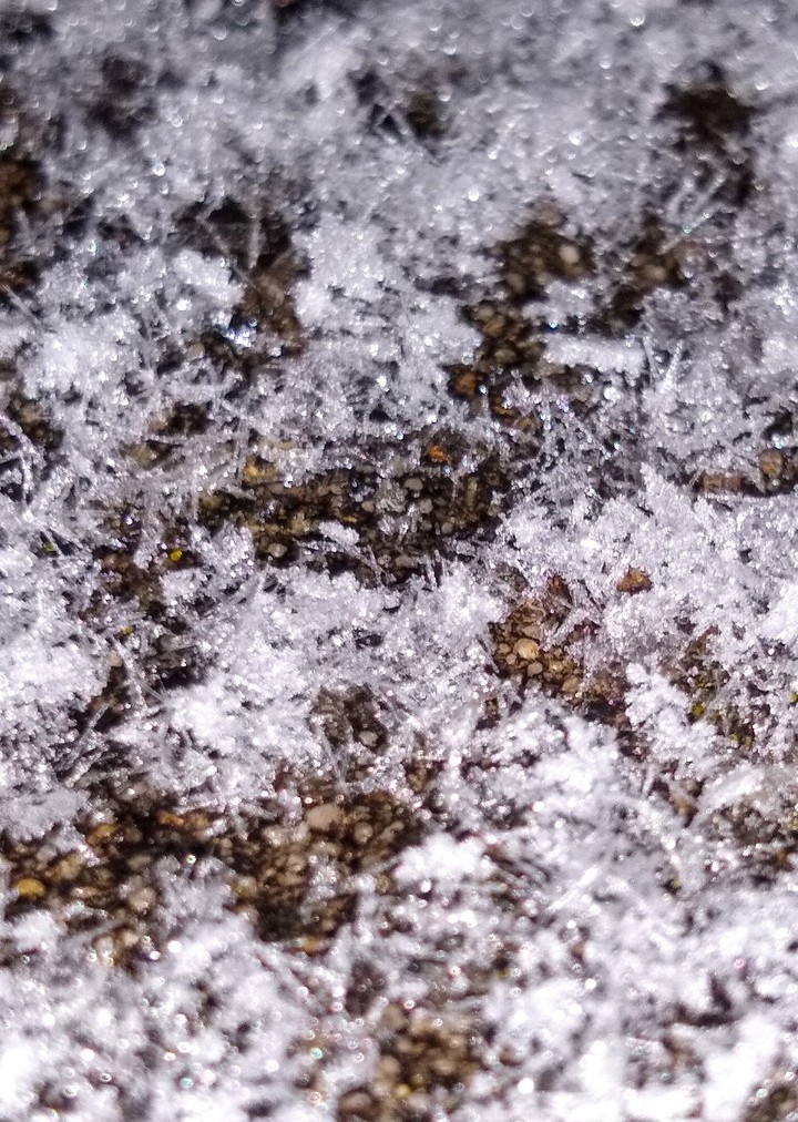 Snowflakes on Concrete