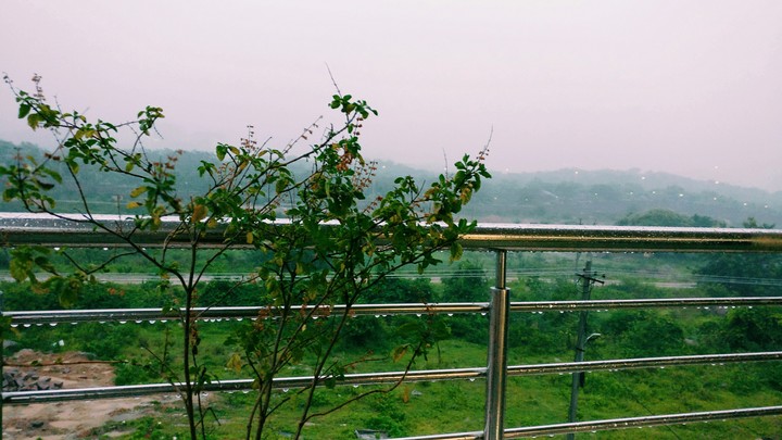 rain scenic view