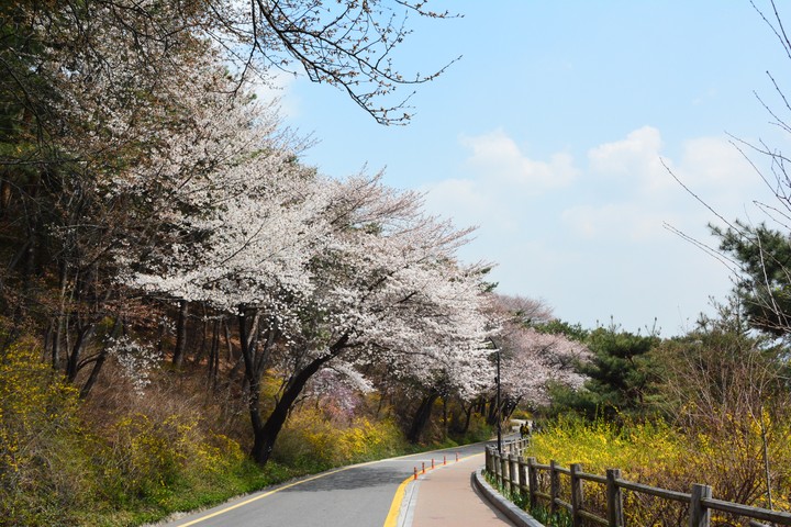 남산이미지