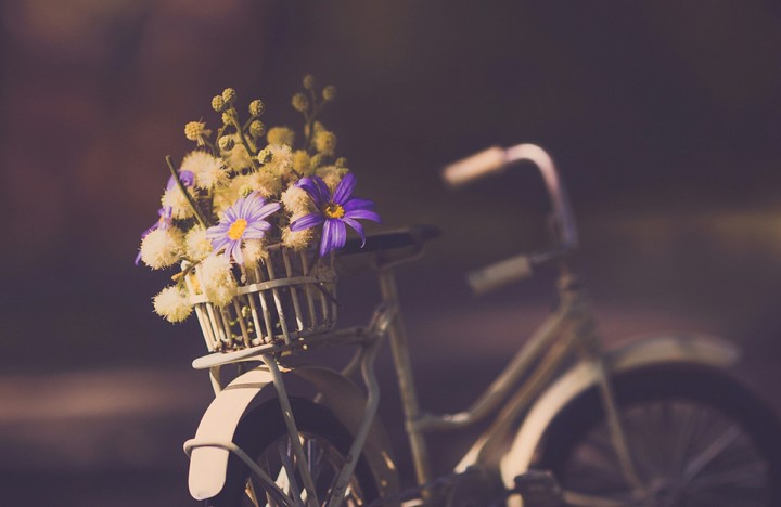 Basket of flowers