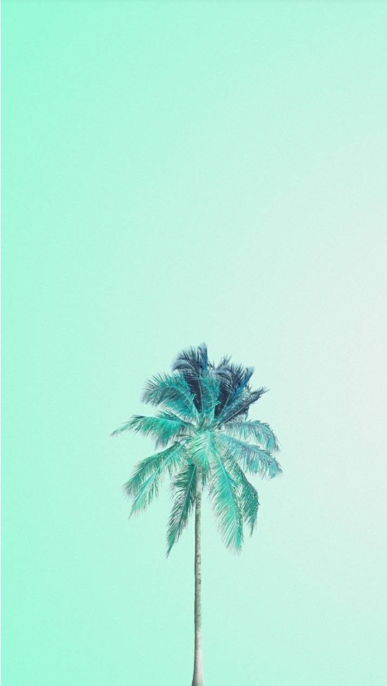 mint tree