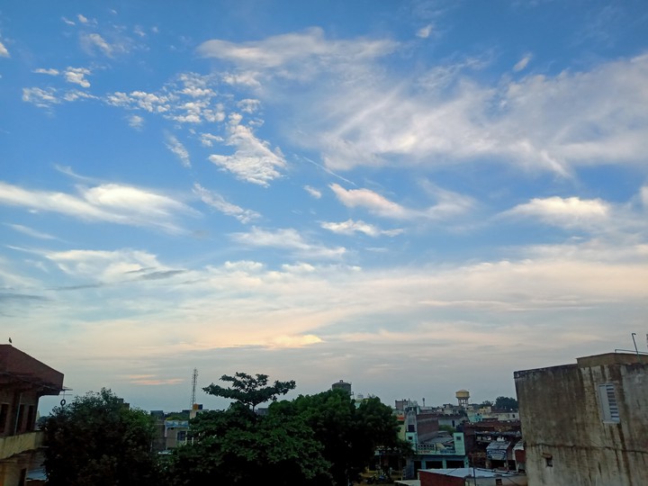 SKY Is cheering