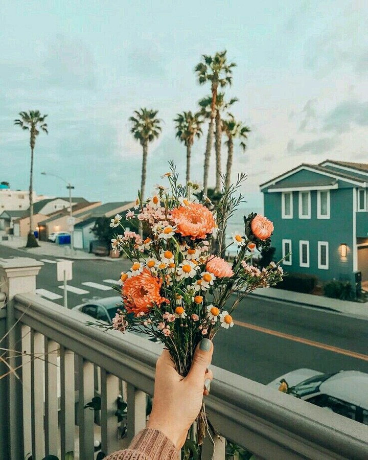 flower