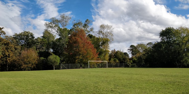 goal post