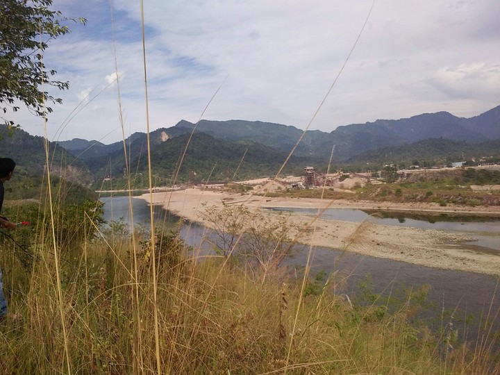 nature