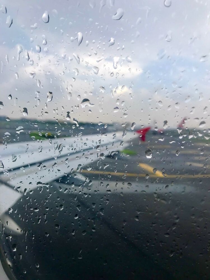 wings in rain