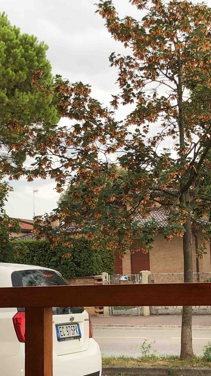 Not My Car