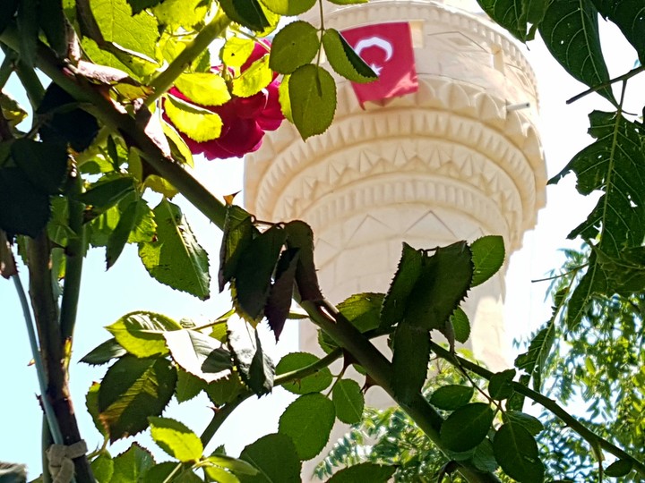 #turkey