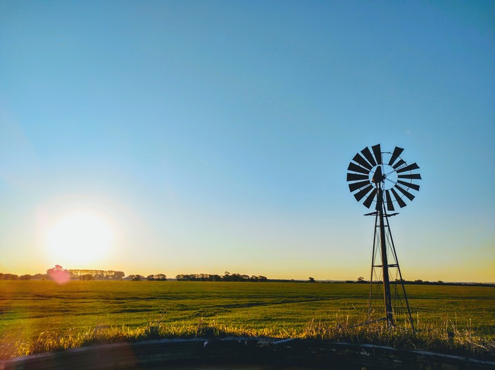 El campo en Argentina