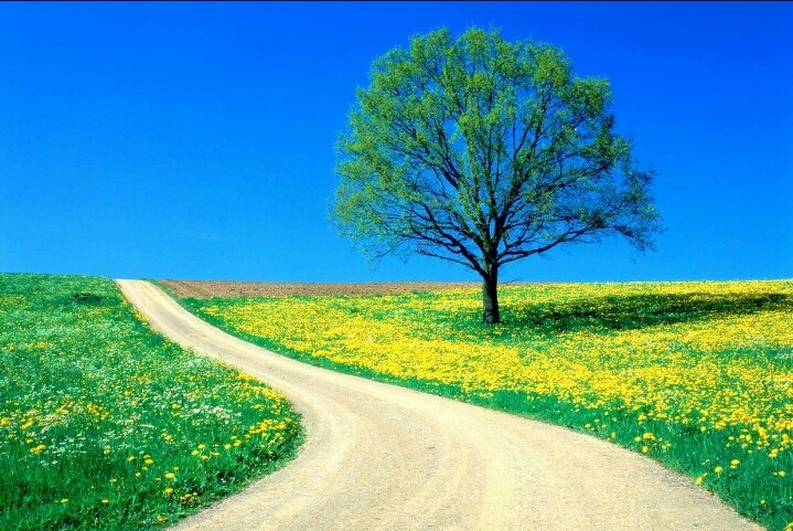 Nature