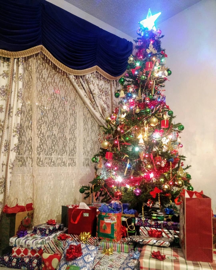 Family Christmas Tree
