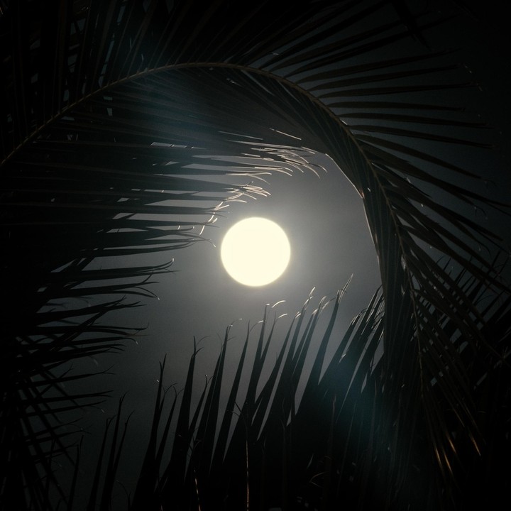 Moon