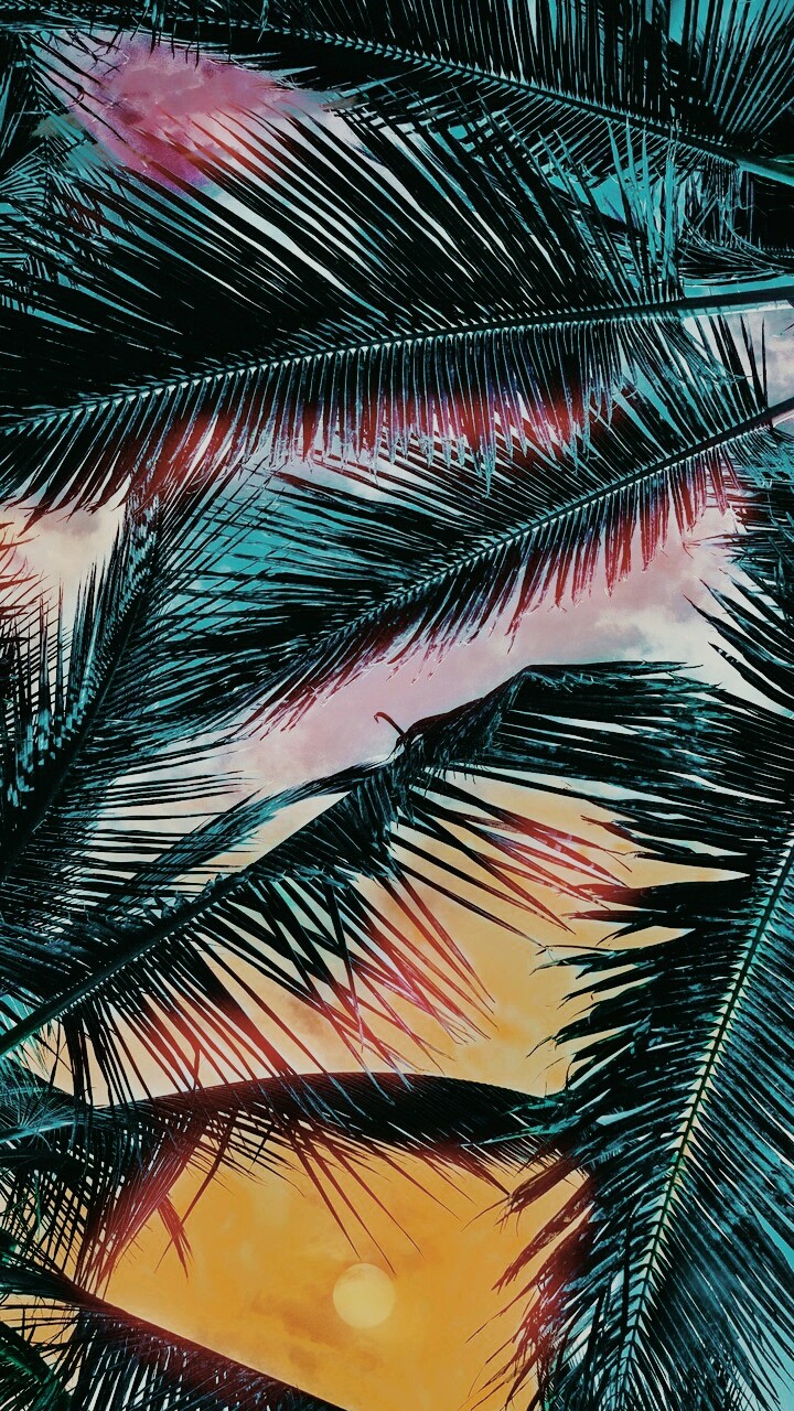 Florida