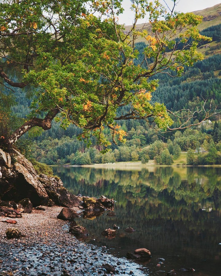 Scotland