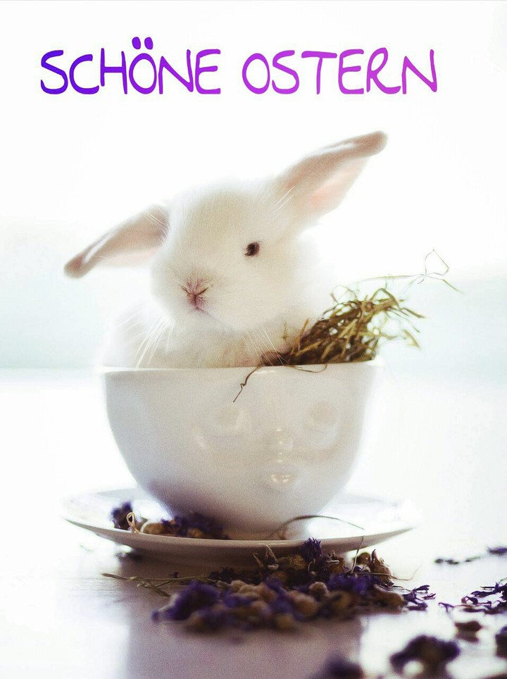 Schöne Ostern