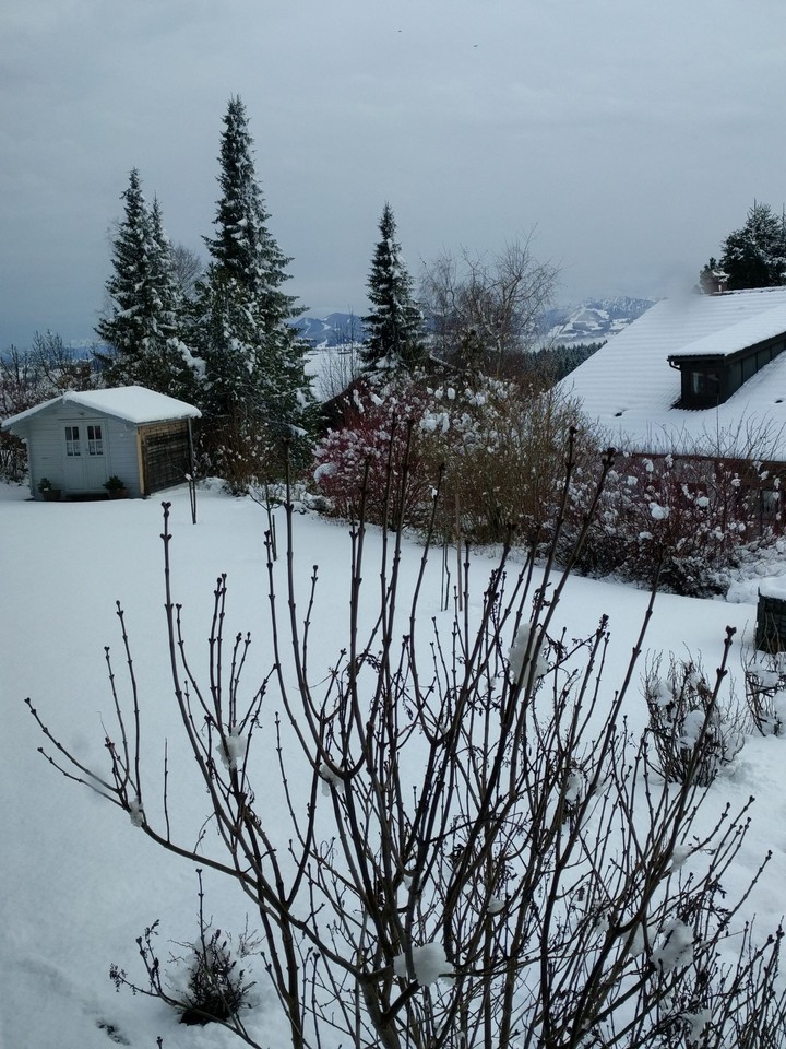 snow