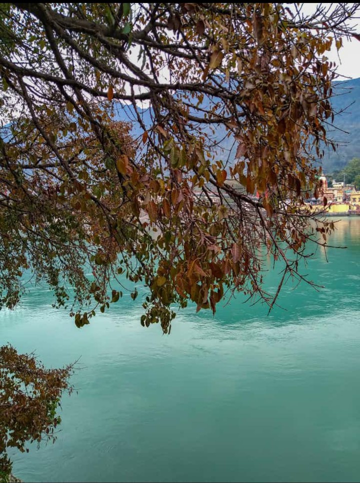 Rishikesh, India
