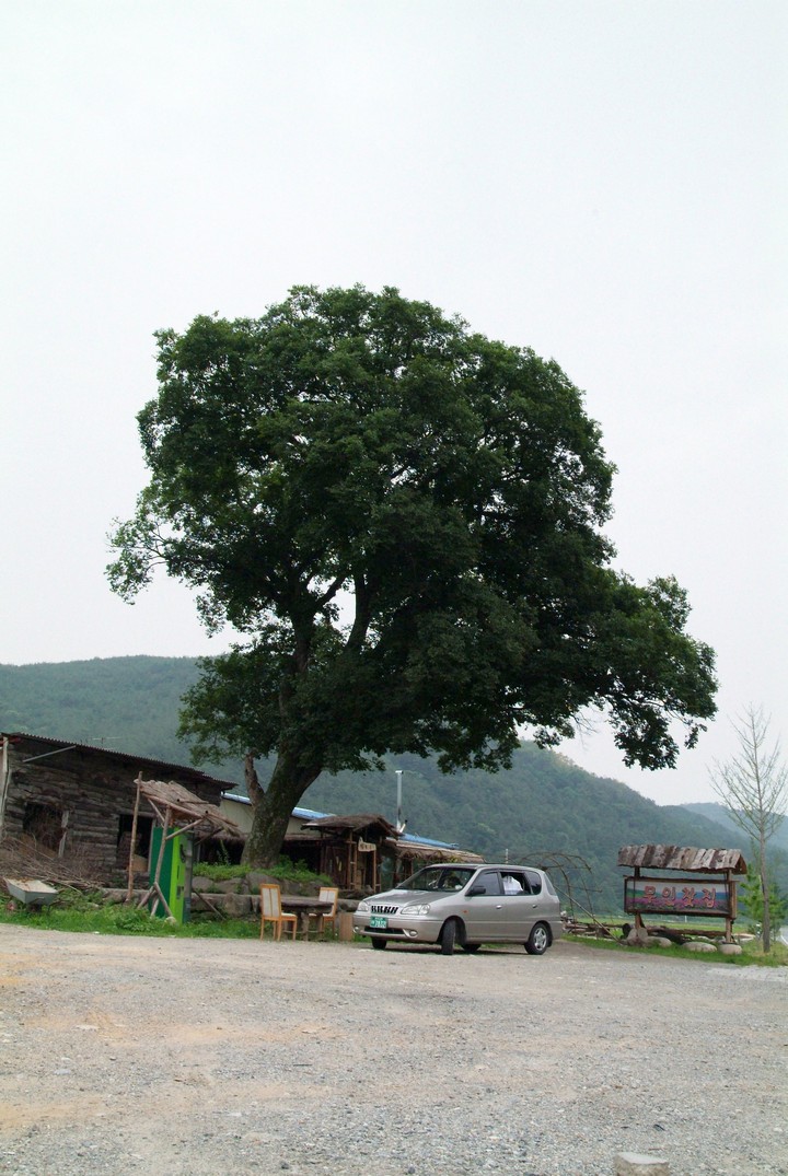 Asia