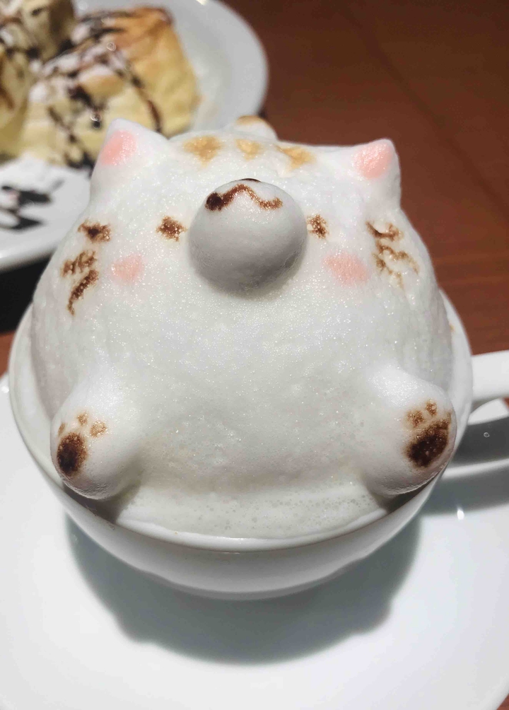 3D Cat Foam Coffee