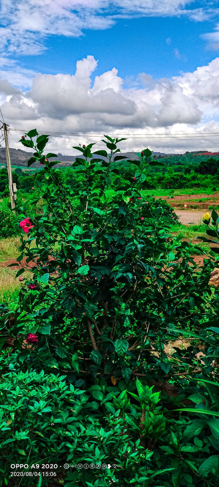 ទេសភាពមុខផ្ទះ