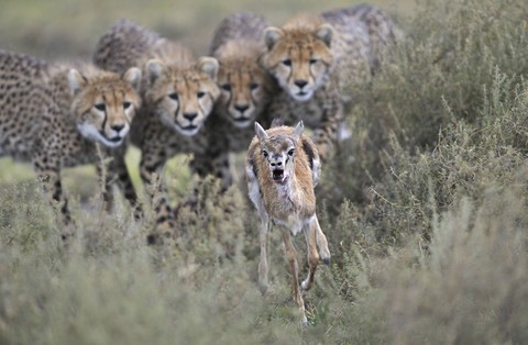 run for life....