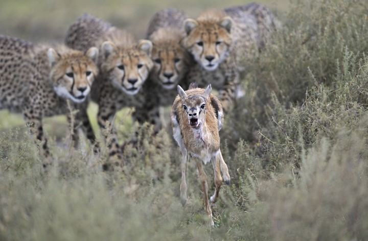 run for life....