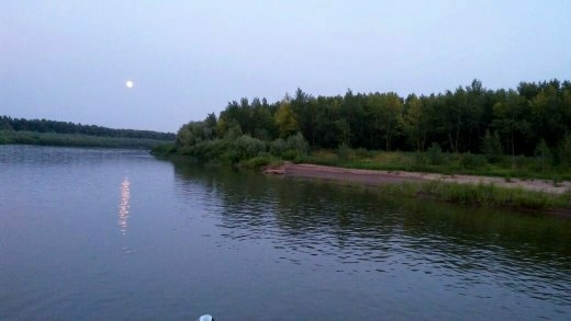 луна в вечернем небе