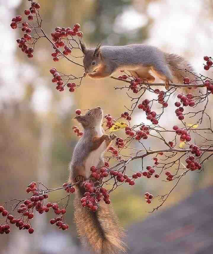 daily cute