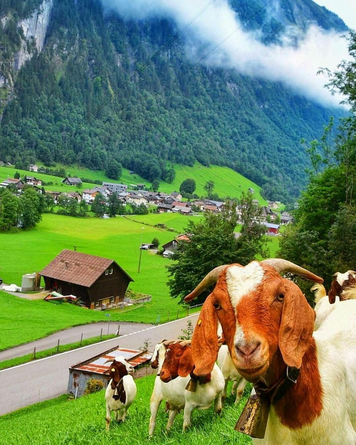 Switzerland