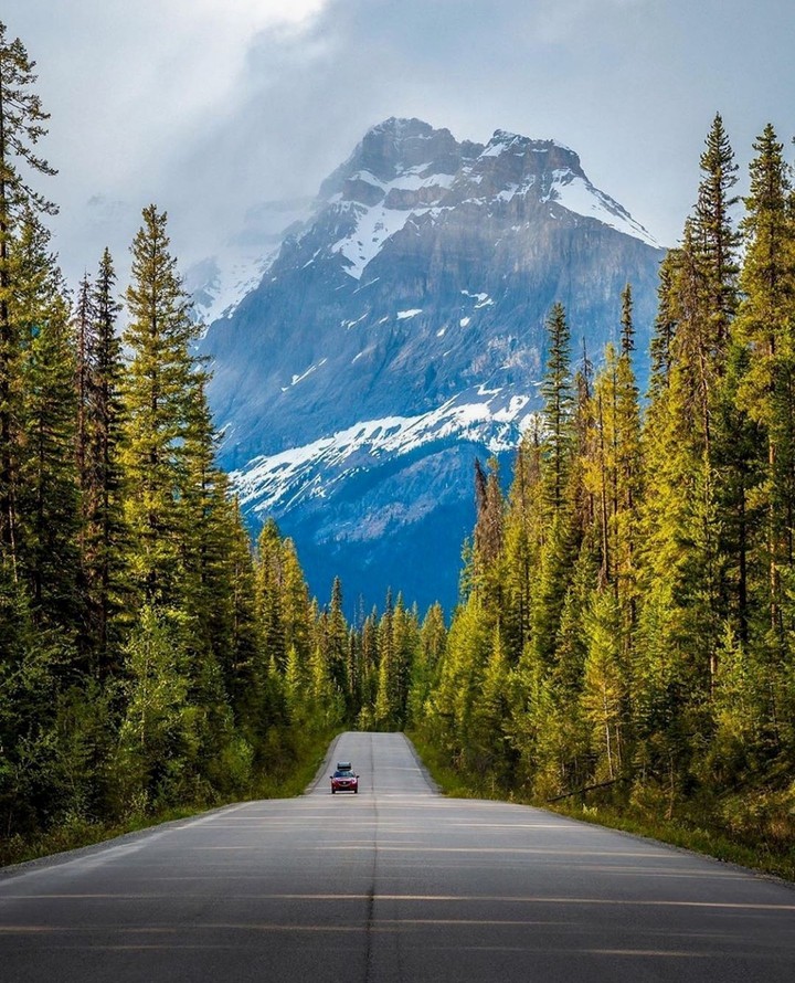 Road