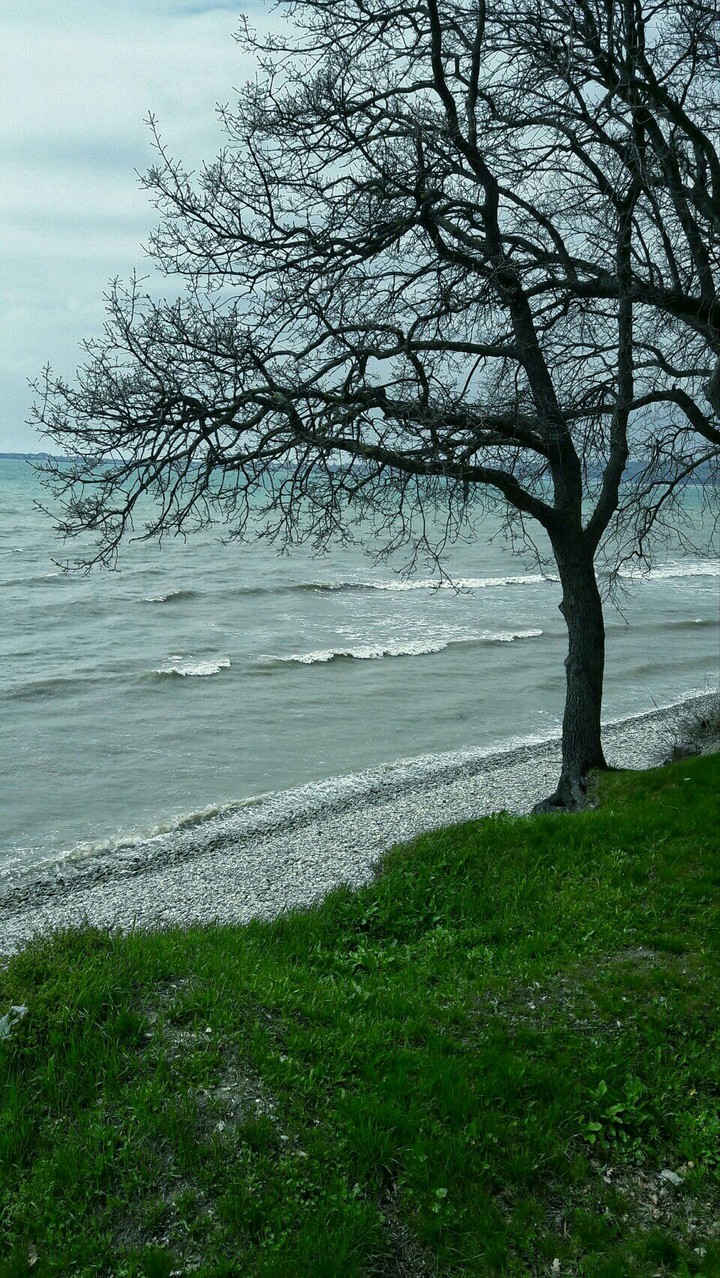 Море